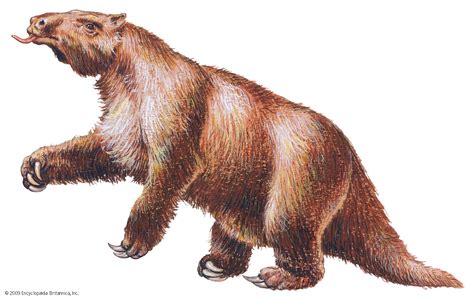 Megatherium .